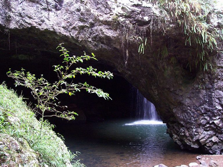 ULTIMATE GUIDE TO GETTING AROUND GOLD COAST