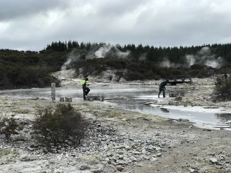 Hells Gate Rotorua after wetlands walk pic