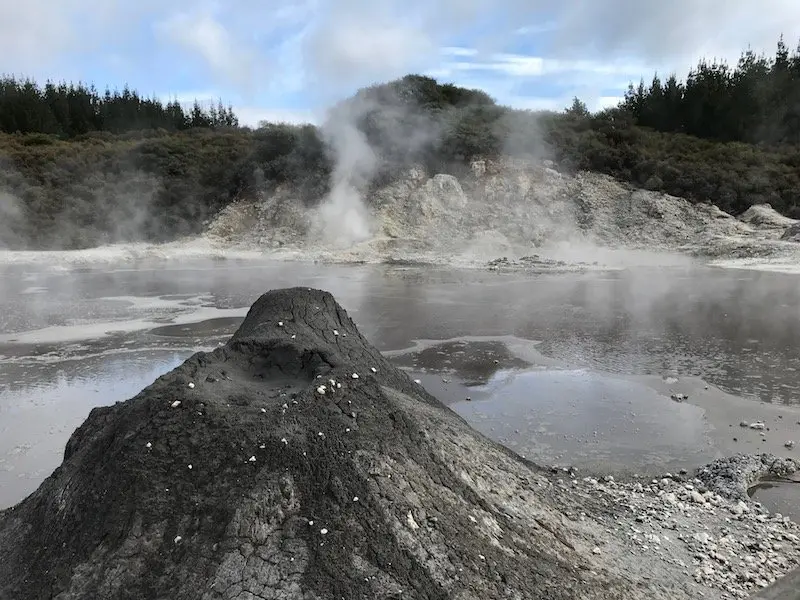 Hells Gate Rotorua mud volcano close up pic