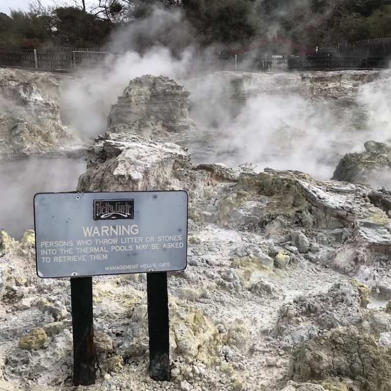 SNEAK PEEK INSIDE HELLS GATE ROTORUA THERMAL PARK