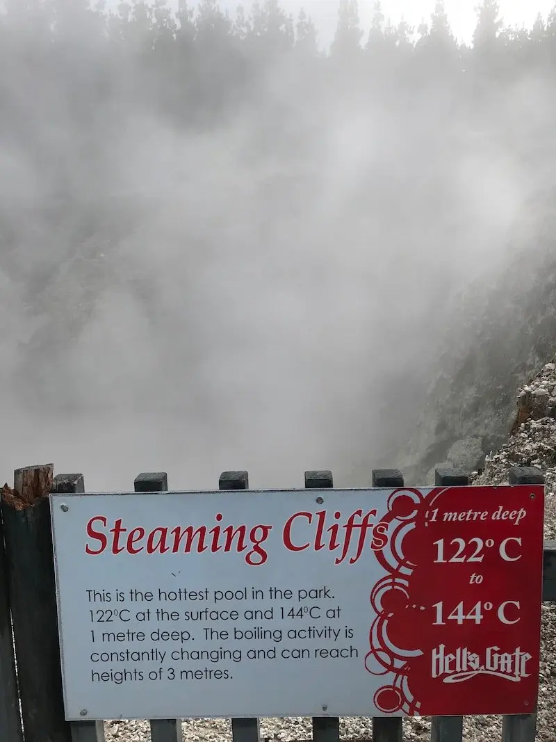 Hells Gate steaming cliffs pic