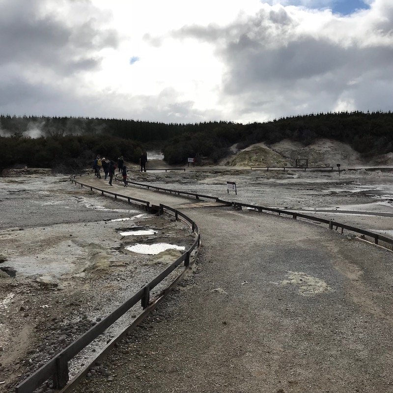 Hells Gate Rotorua terrain pic