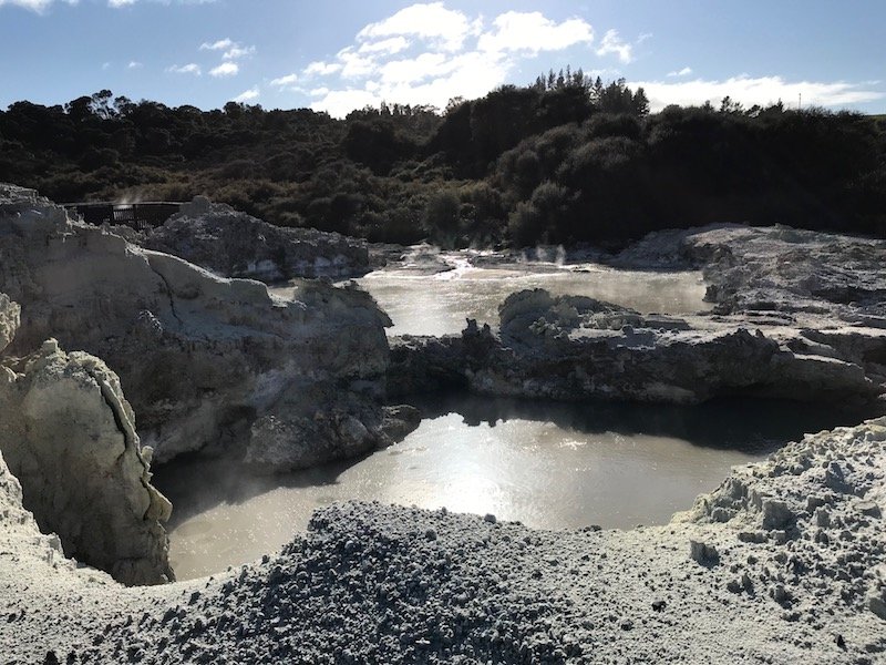 Hells Gate thermal park walk 2 pic