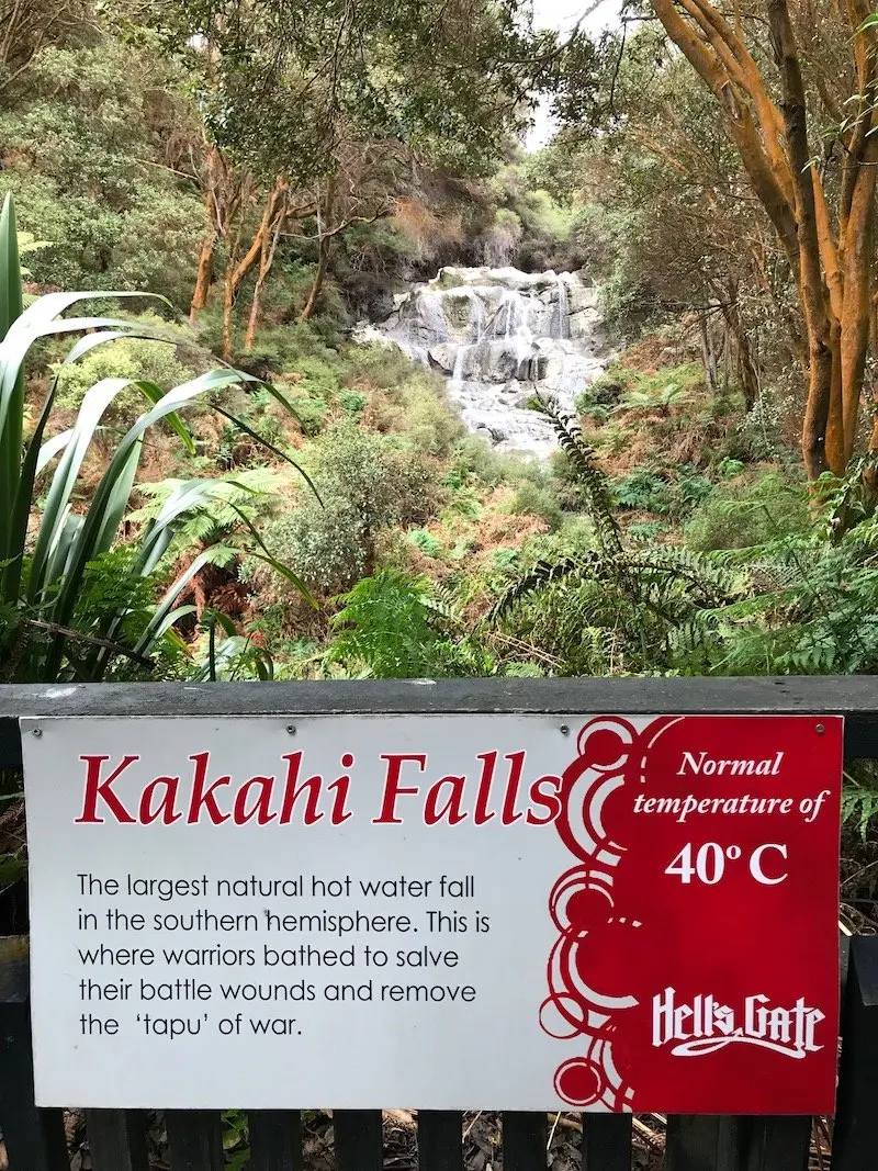 Hells Gate Rotorua wetlands kakahi falls pic