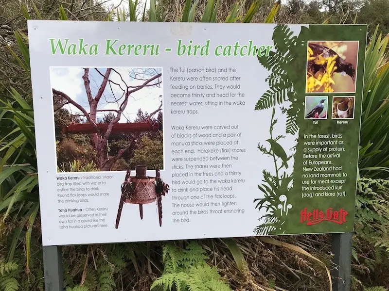 Hells Gate Rotorua wetlands sign pic