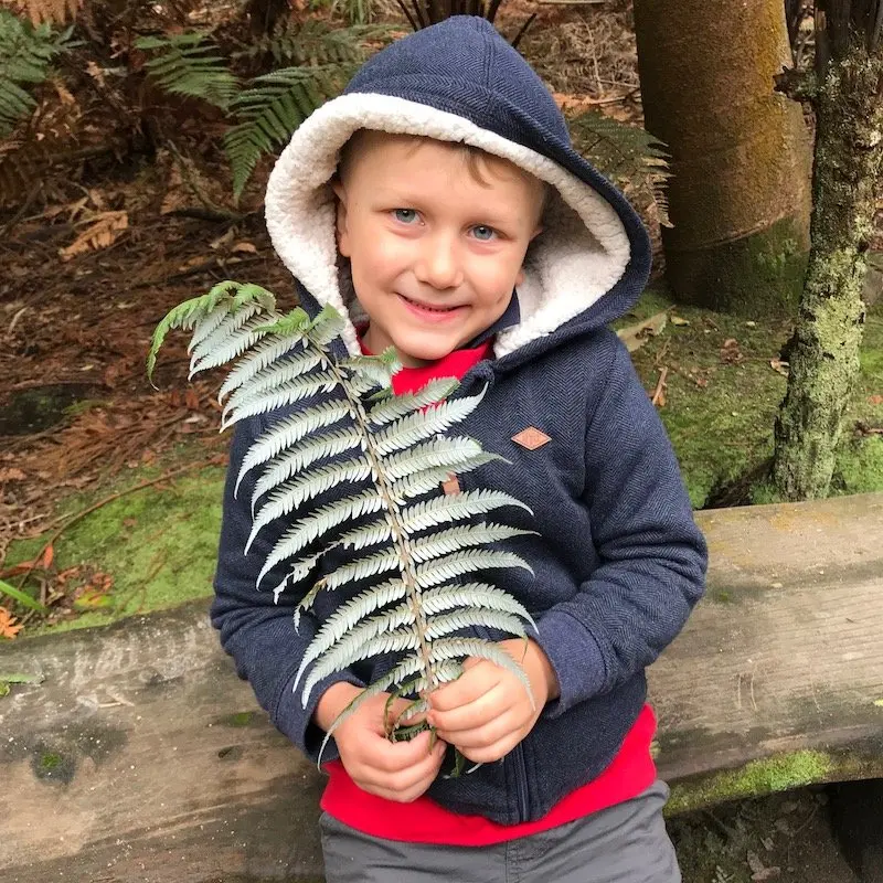 Hells Gate Rotorua wetlands - pic of silver fern with jack