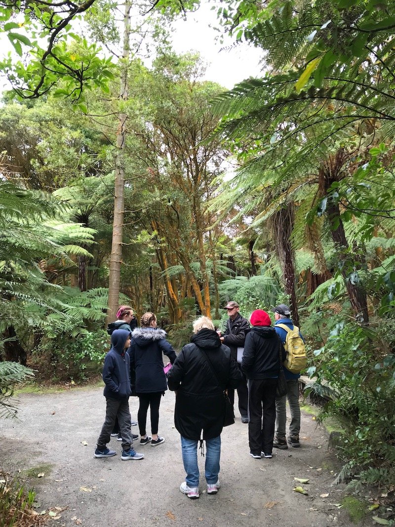 Hells Gate Rotorua wetlands walk pic