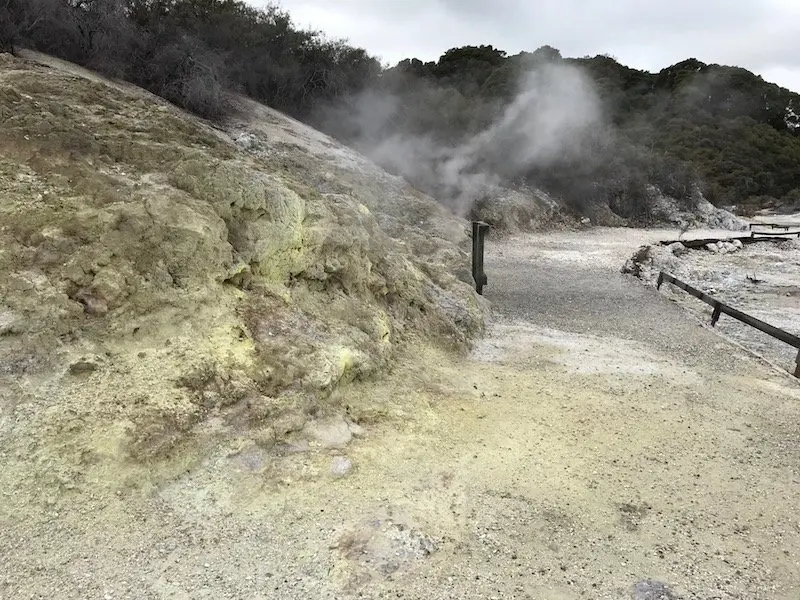 Rotorua yellow rock pic