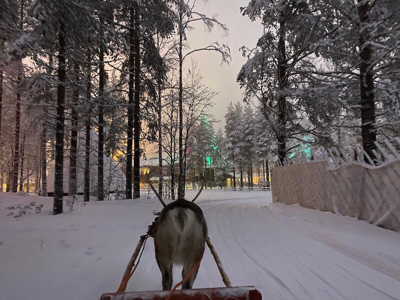 Image - reindeer ride rovaniemi