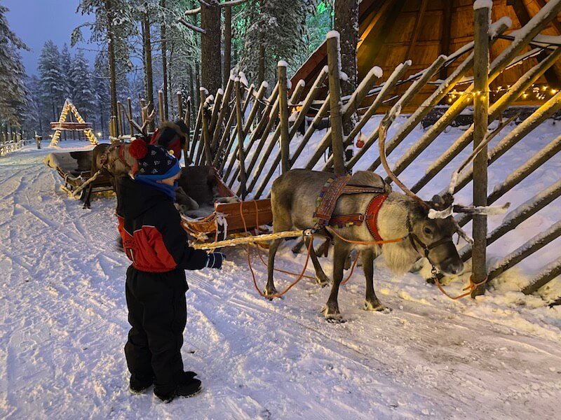 Image - reindeer sleigh 1