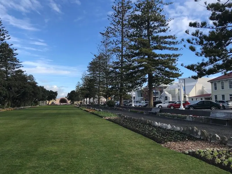 Napier marine parade pic