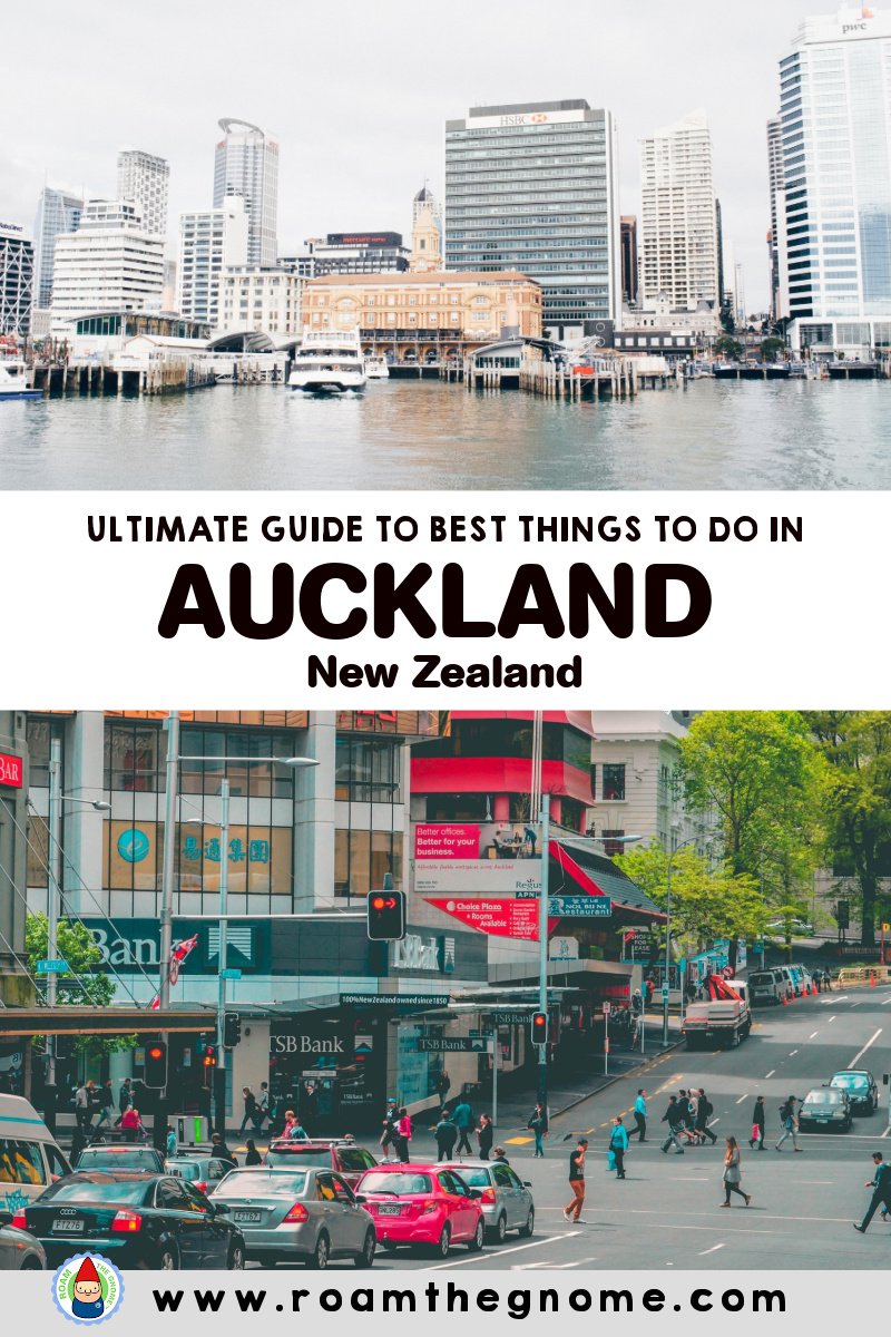 PIN auckland things to do