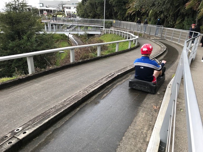 Photo - Skyline Rotorua Luge downward run