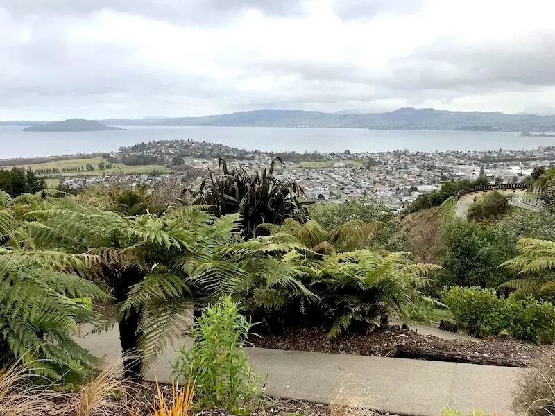 Photo - Skyline Rotorua Luge view of tracks