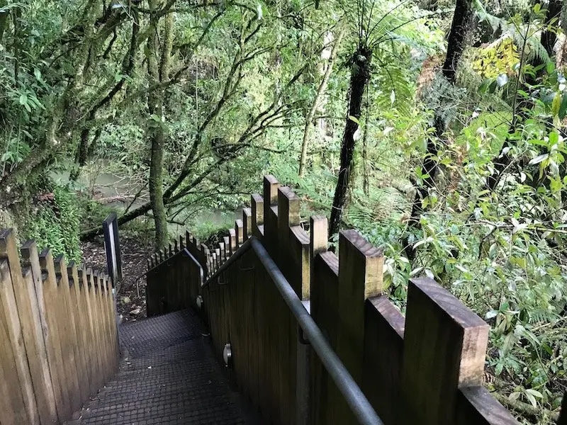 Photo- Waitomo caves for kids pathway out