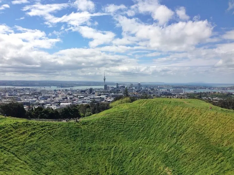 auckland by henry mcintosh