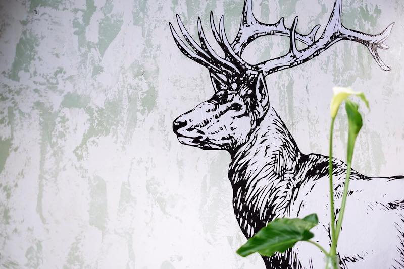 elk espresso