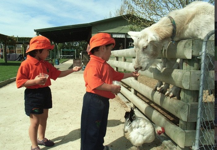 hawkes-bay-farmyard-zoo