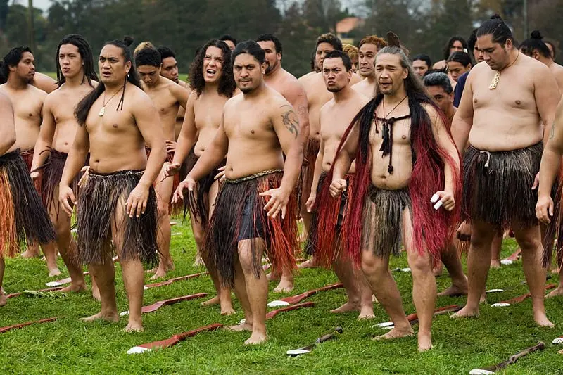 image - 800px-New_Zealand_-_Maori_rowing_-_8446