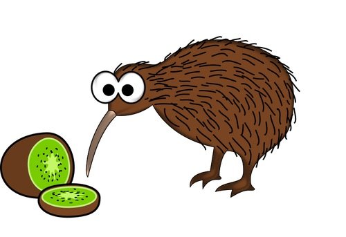 image - kiwi bird kiwiana pic by svg