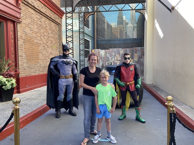 movie world batman and robin 800