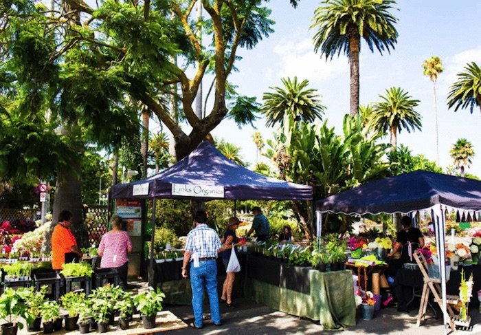 napier-urban-farmers-market