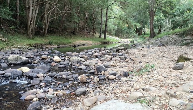 photo - currumbin rock pools gold coast nature play