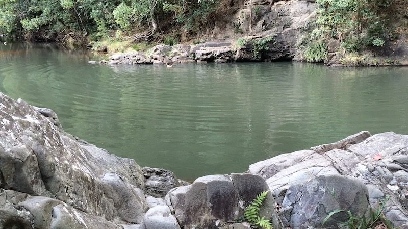 photo - currumbin rock pools gold coast pool view