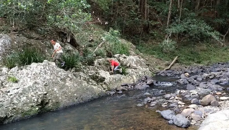 photo - currumbin valley rock pools parkour