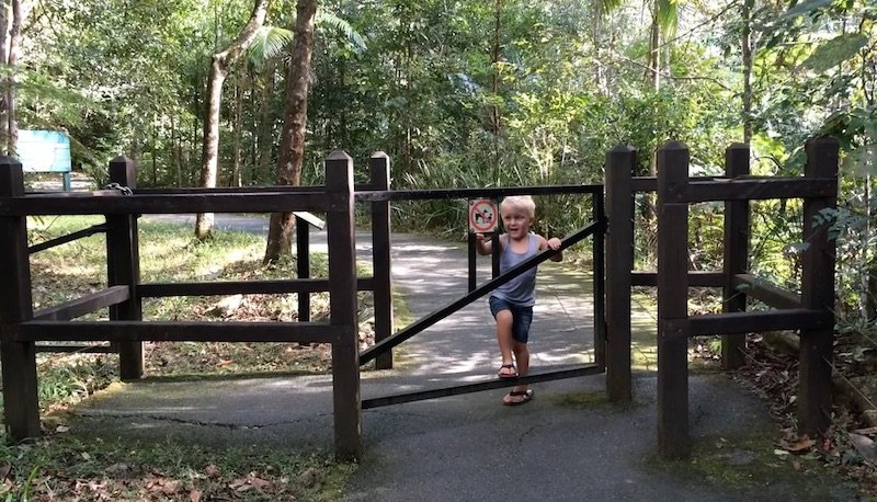 photo - mt cougal national park entrance