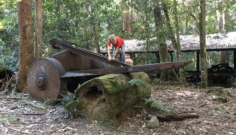 photo - mt cougal national park sawmill equipment