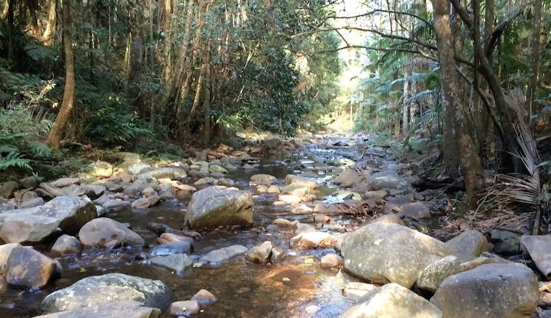 photo - mt cougal national park view of water