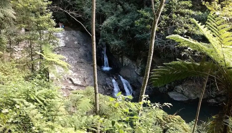 photo - mt cougal national park waterfall - cougal cascade