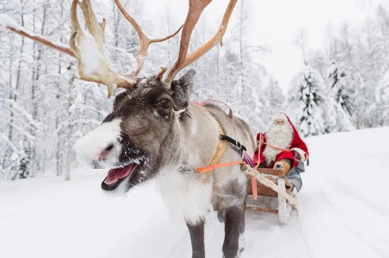 image - santa-claus-reindeer-sleigh-ride-rovaniemi-lapland-finland (1)