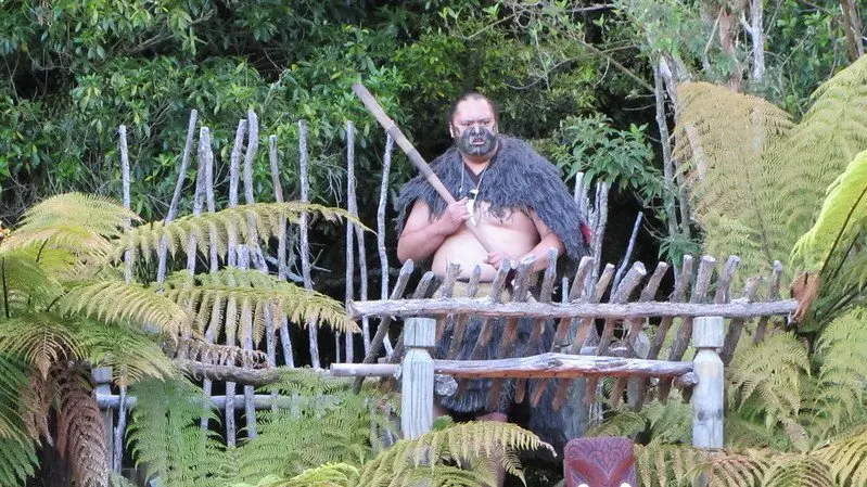 pic of tamaki maori chief by robert linsdell 