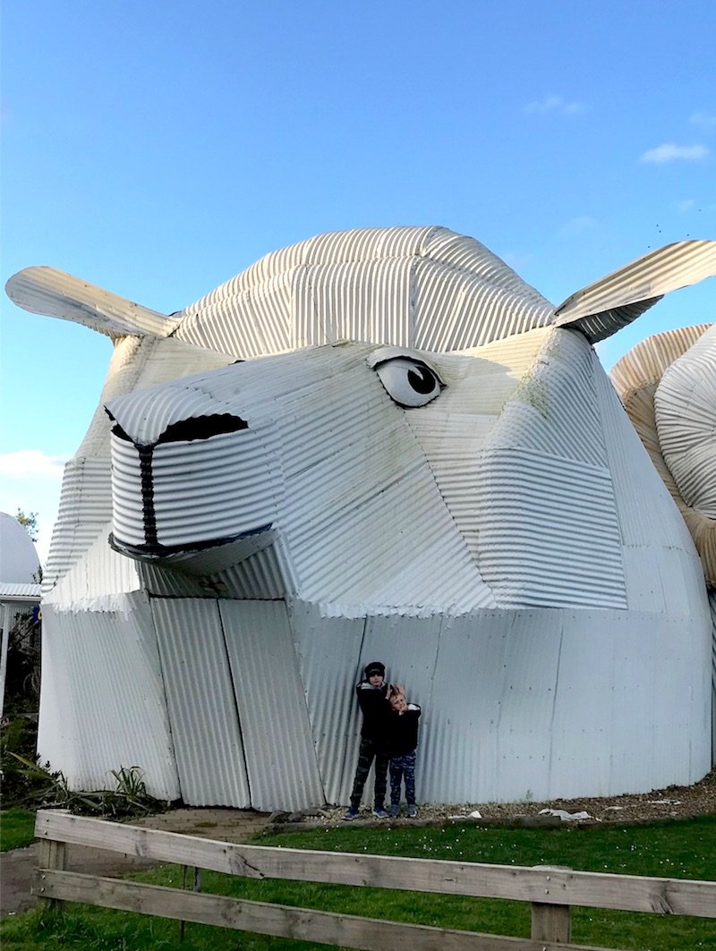 tirau big sheep shop