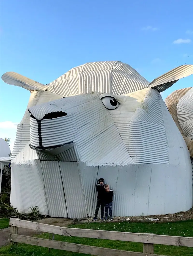 tirau big sheep shop