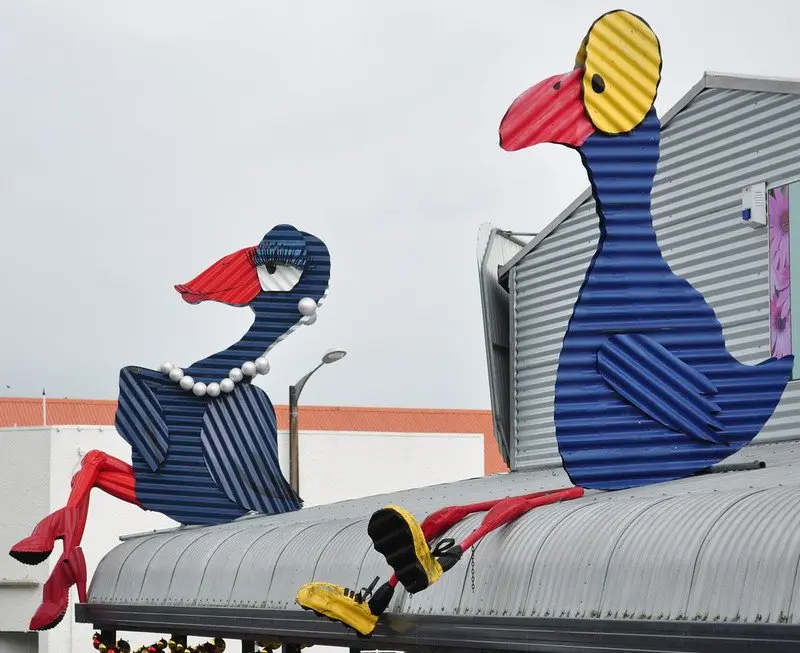 pukeko birds by pukekoblue