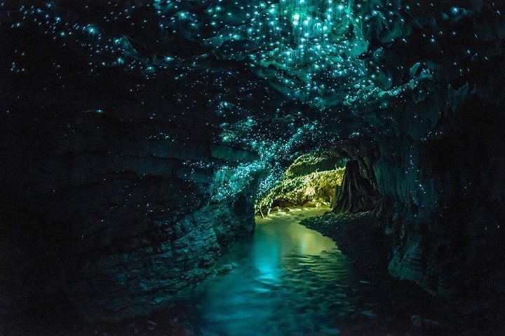 waitomo glow worm caves by 2ilorg 