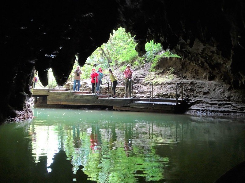 waitomo glowworm caves by denis bin 