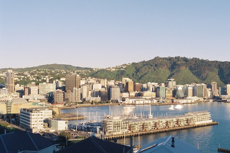 wellington photo by wolf zimmerman