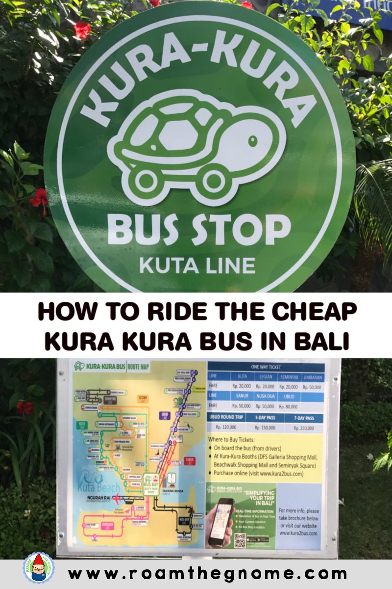 PIN kura kura bus