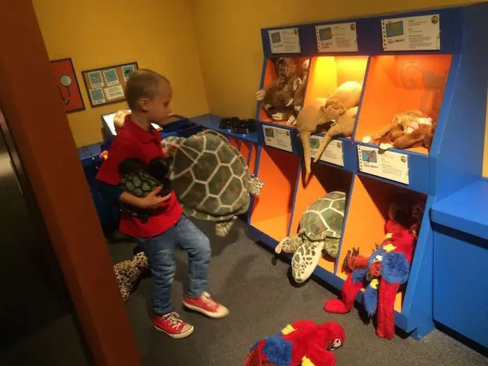 image - Childrens Museum of Manhattan animal care center