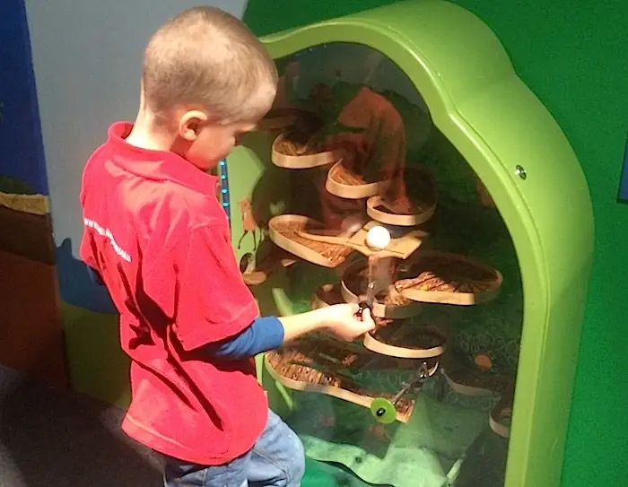 image - Childrens Museum of Manhattan armadillo game