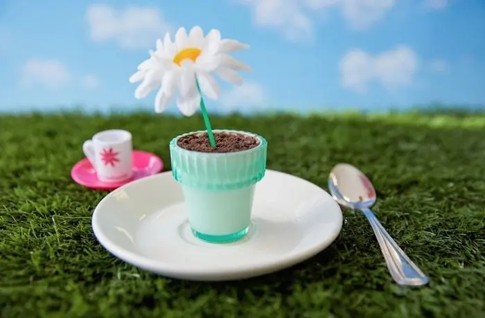 image - american girl cafe flowerpot