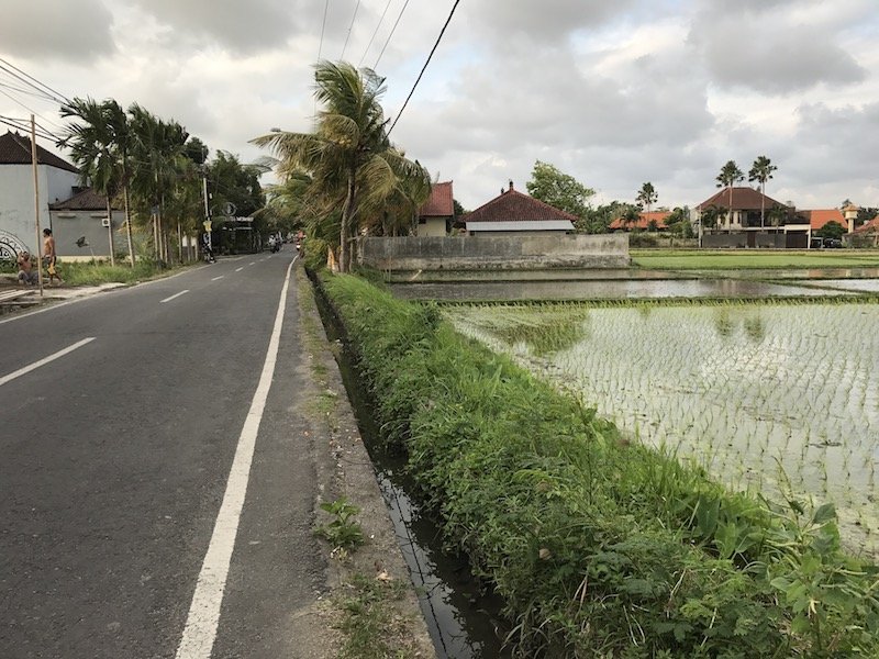 image - bali canggu