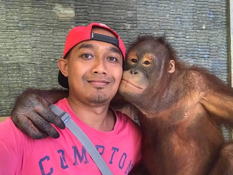 image - bali driver dewa with orangutang