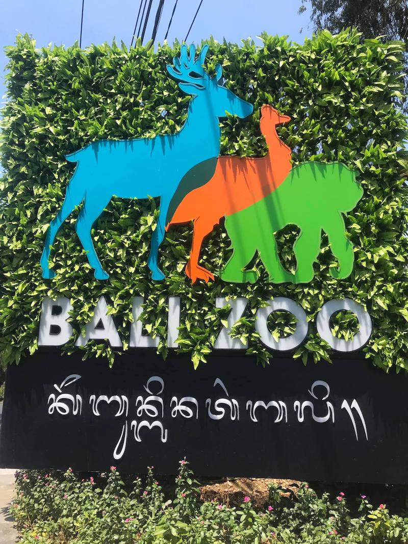 image - bali zoo dewa smart tours