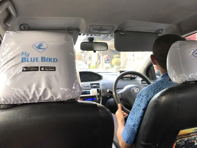 image - bluebird taxi bali headrest covers