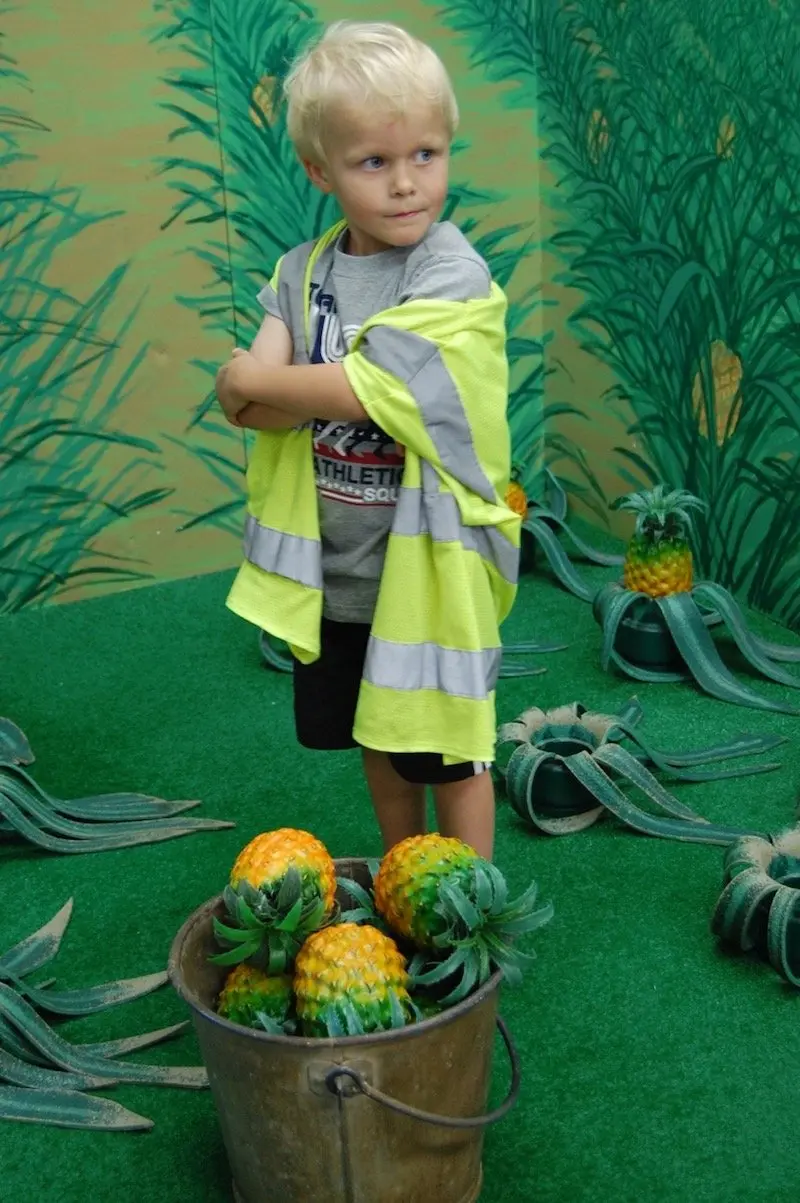 image - hawaii children's discovery center pineapple field